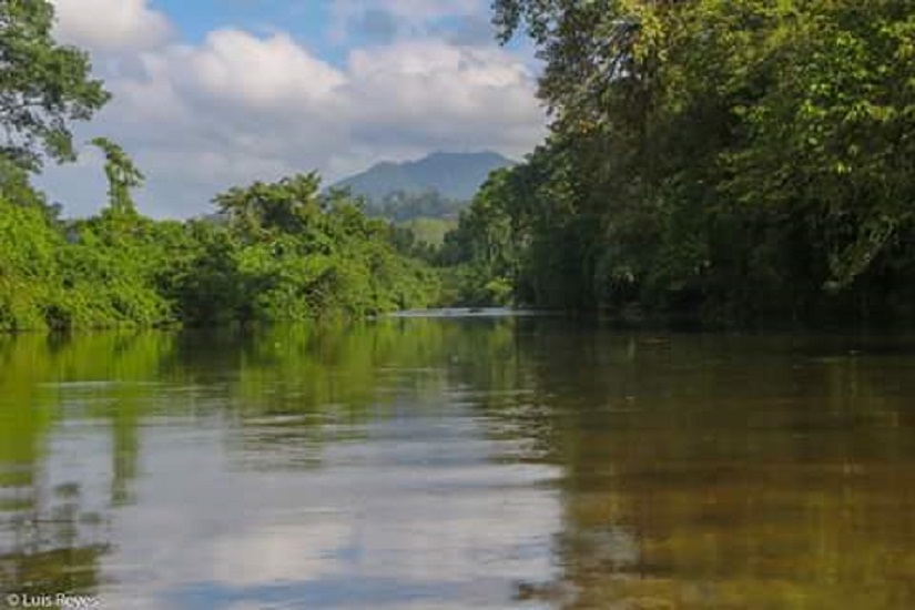 SIUNA1